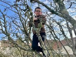 Environ un milliard d’êtres humains hibernent ce début de printemps