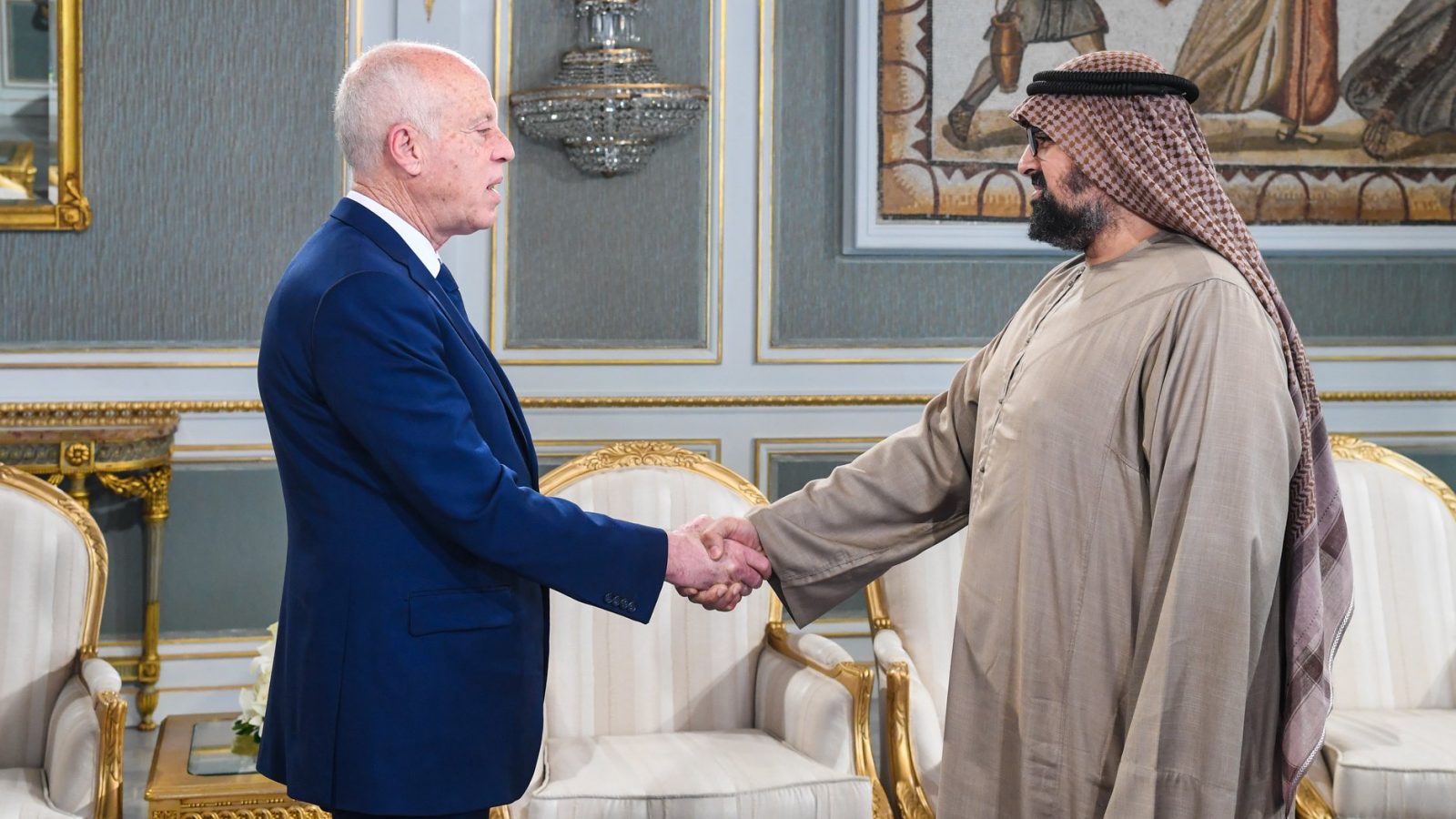 سعيّد يبحث مع الرئيس التنفيذي لمجموعة أبوظبي للاستثمار إمكانية إنجاز المدينة الصحية