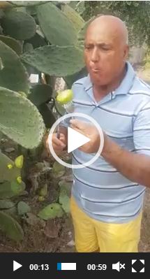 من المنتج إلى المستهلك