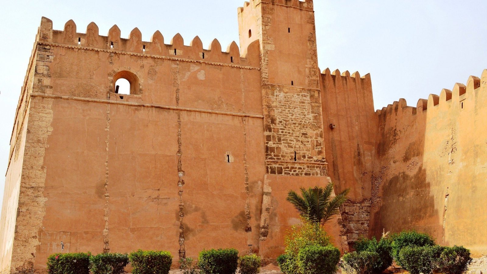 صفاقس: شهر سجنا لـ 10 اشخاص ضبطوا متجمعين اثناء الحجر الشامل صفاقس: شهر سجنا لـ 10 اشخاص ضبطوا متجمعين اثناء الحجر الشامل