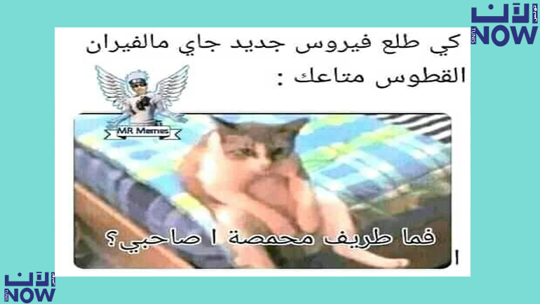 القطوس التونسي هههه القطوس التونسي هههه