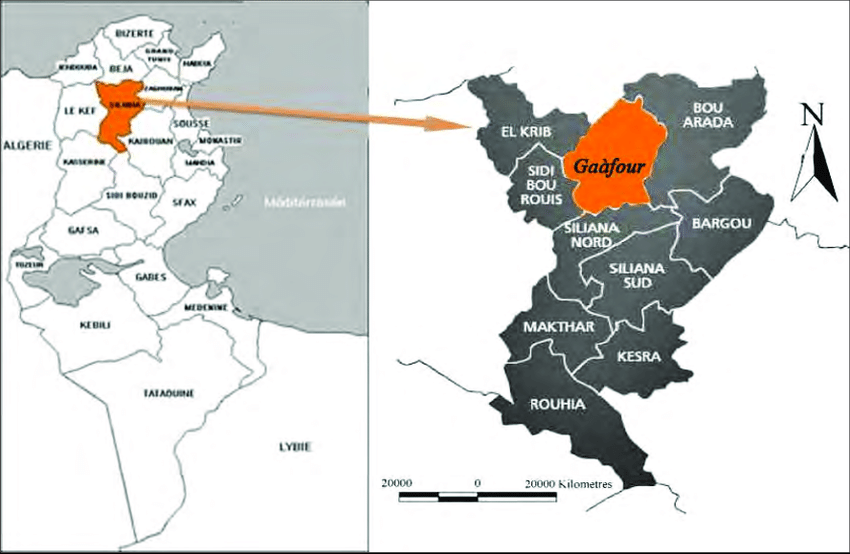 Le dernier rempart s'effondre : un cas positif au gouvernorat de Siliana