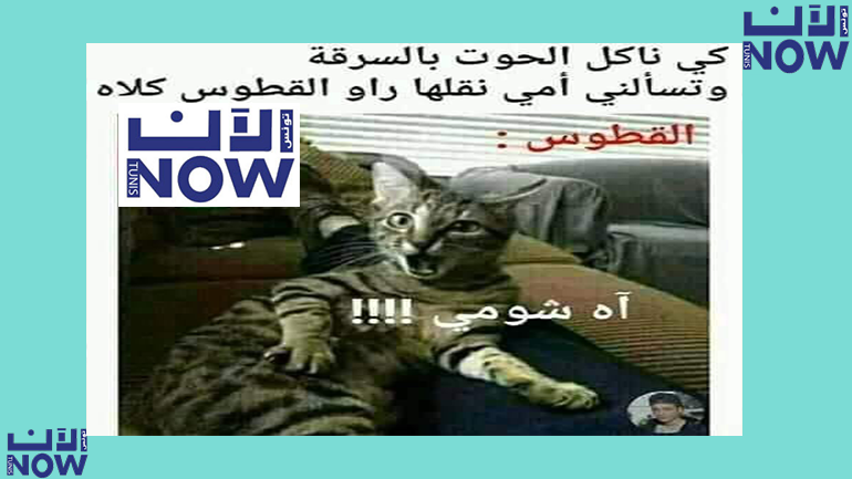 مسكين القطوس قداه يعاني مسكين القطوس قداه يعاني