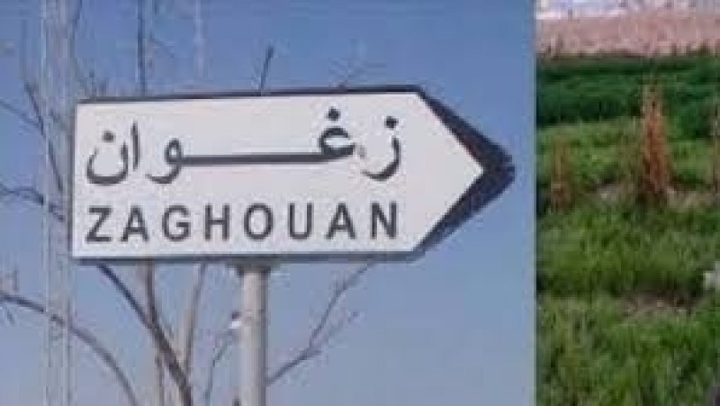 في زغوان ..800 عامل في مهب الريح بسبب كورونا في زغوان ..800 عامل في مهب الريح بسبب كورونا