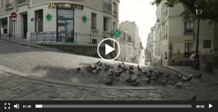 الدراج الطائر