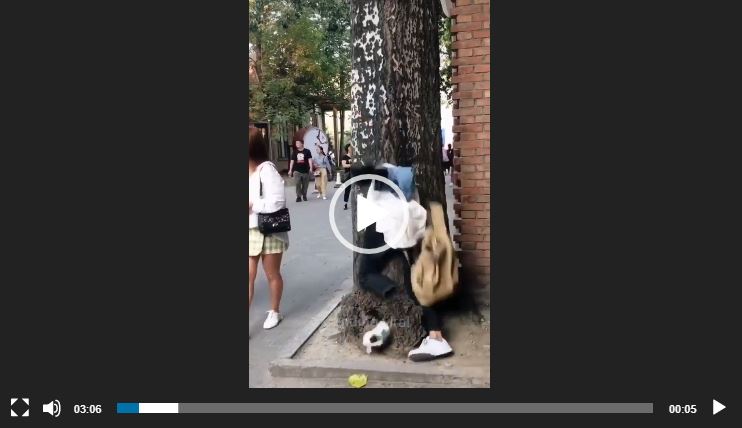 شاهد: المونتاج الإحترافي