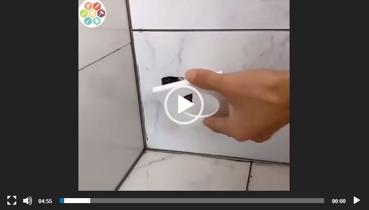 لا حياة دون تطور