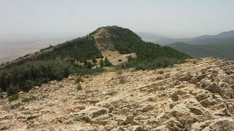 مرتفعات القصرين: فار من السجن منذ الثورة وقع في الكمين