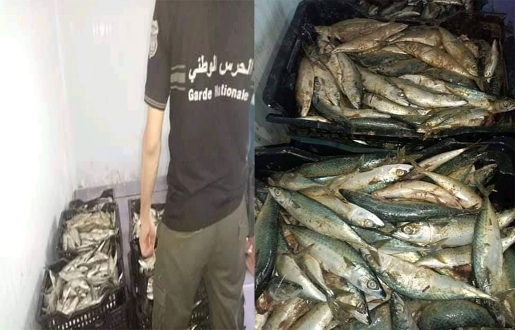 الأسماك الفاسدة