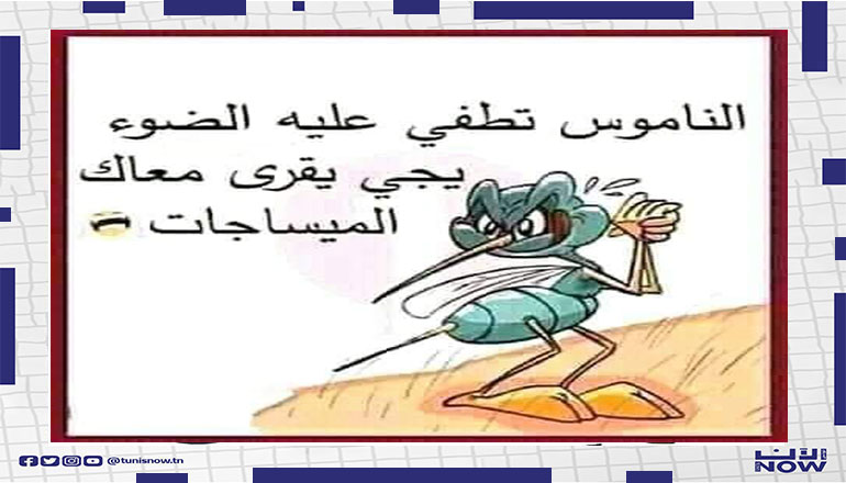 عودة النموس