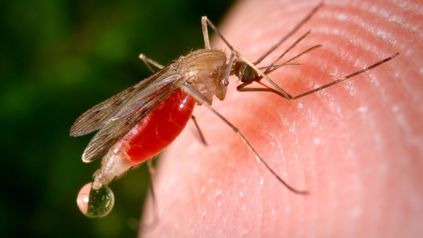 سوسة.. “وشواشة” تحيل شابا على المستشفى