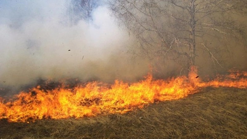 حريق قرب محطة للكهرباء بسوسة