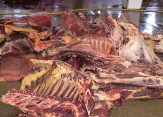 منزل بورقيبة :ذبح خروف خفية فكان في انتظاره ما لم يتوقعه