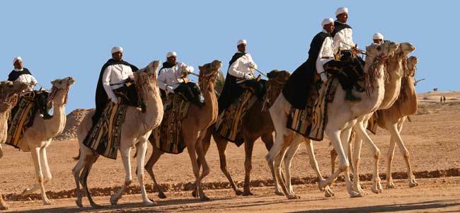 قبلي: عودة الروح للسياحة بدأت بهذه الجرعة