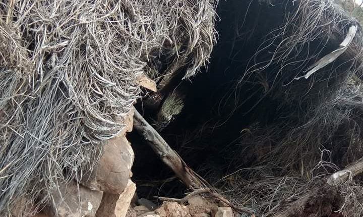 الجزائر: الكشف عن مخابئ للإرهابيين بهذه الجهة…