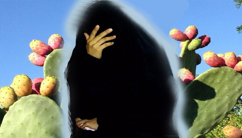 في القلعة الصغرى/ يغمس ملابس زوجته في شوك الهندي وهذا مصير المسكينة