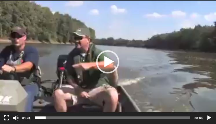 الطبيعة على أصولها!