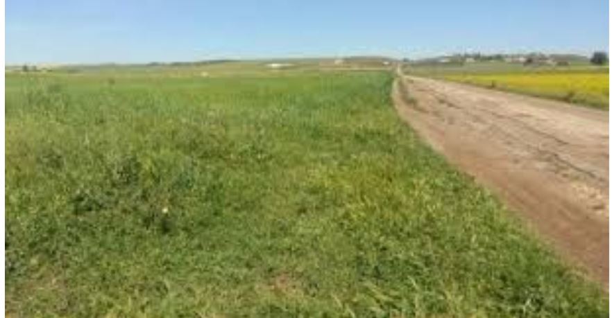 الدولة تسترجع 93 هكتارا بهذه الجهات