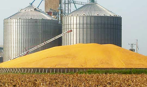 التفويت في المخازن الكبرى للحبوب