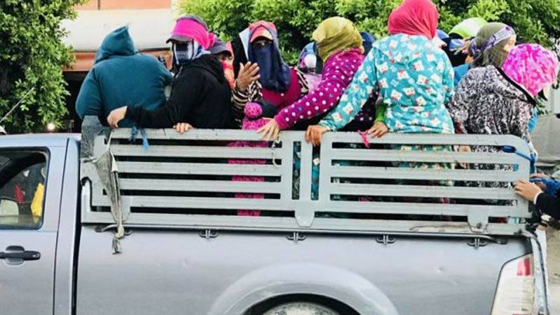 حادث العاملات الفلاحيات بعين جلولة: اتحاد الفلاحين يحمّل السلط تمادي تجاهل ملف النقل الفلاحي