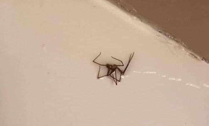 من داخل نزل مخصّص للحجر الإجباري: المواطن دفع 700 دينار و