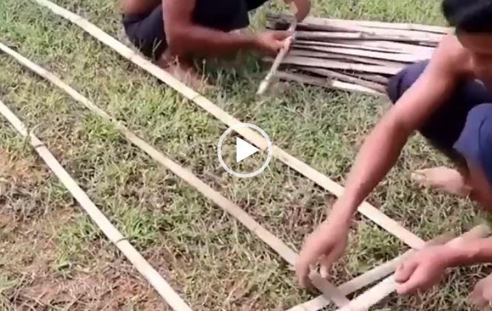 شاهد: الباشا المهندس