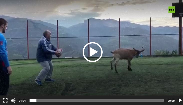 شاهد: تيس بري يلعب الكرة