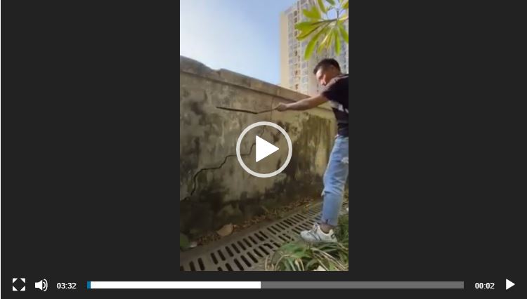 يستحق المشاهدة !!!