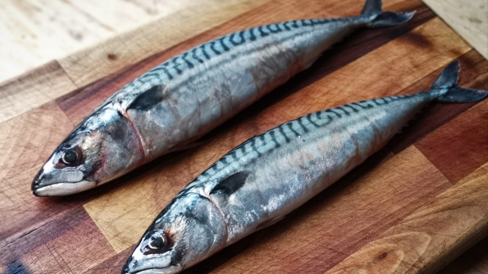 مساكن/ عائلتان تسمّمان بسبب 