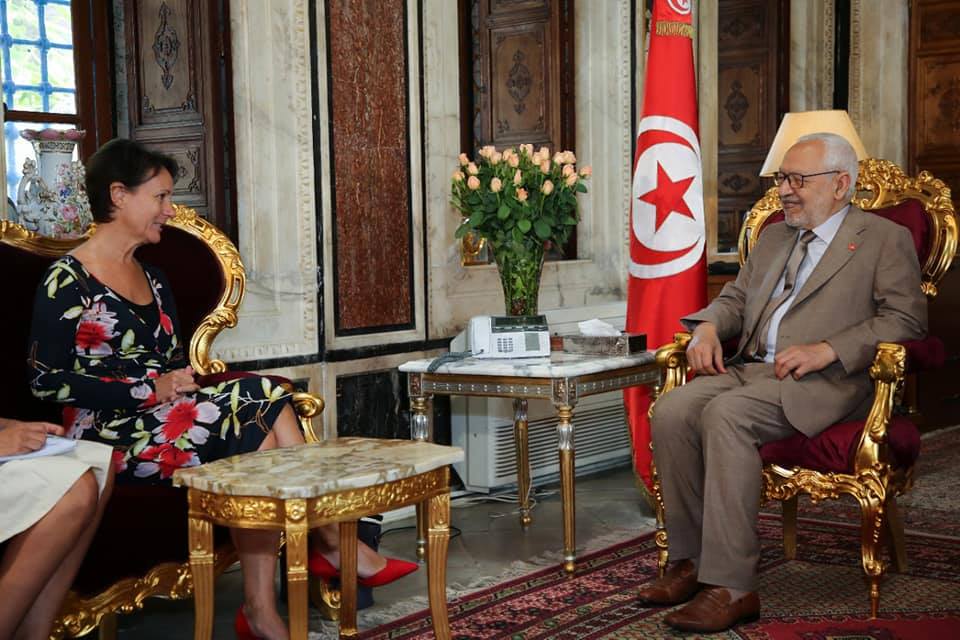 ماذا في لقاء الغنوشي بسفيرة السويد؟