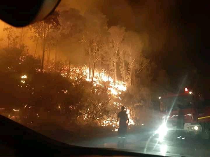 طبرقة/3حرائق متزامنة وشكوك عديدة حول أسبابها (صور)