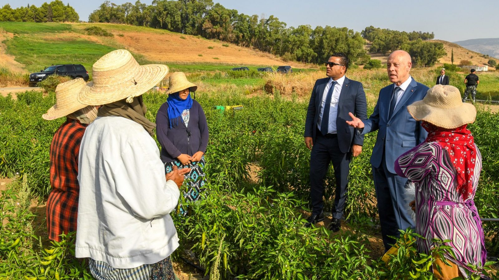 رئيس الجمهورية في ريف جندوبة للقاء عاملات فلاحيات