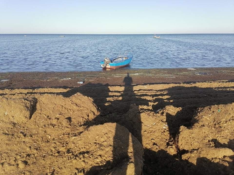 قابس: القبض على 4 أشخاص مورطين في محاولة هجرة غير نظامية