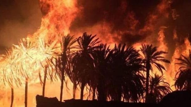 قبلي /حريق يأتي على 4 هكتارات من النخيل و الزيتون