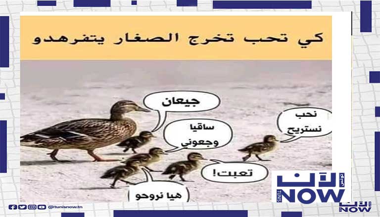 تونسي هاز عايلتو تتفرهد هههههههه