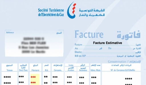 مشروع الفاتورة الجديدة للكهرباء والغاز: الحريف قادر على احتساب قيمة استهلاكه بنفسه