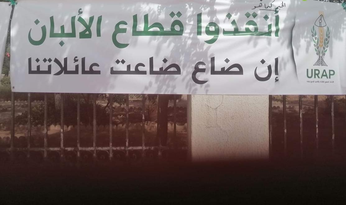 باجة/وقفة احتجاجية لمنتجي و مجمعي و مصنعي الحليب