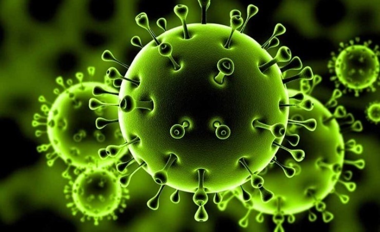 باجة /ثبوت اصابة شيخ بفيروس كورونا