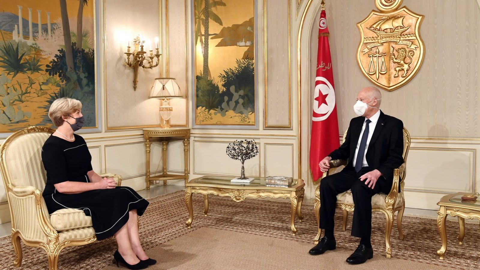 قيس سعيد يستقبل السفيرة البريطانية: مواصلة التعاون متعدد الأطراف وخاصة في مجلس الأمن