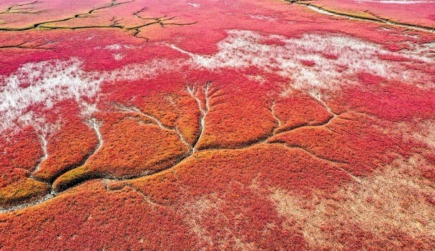 الصين/ أغرب الشواطئ في العالم واجملها