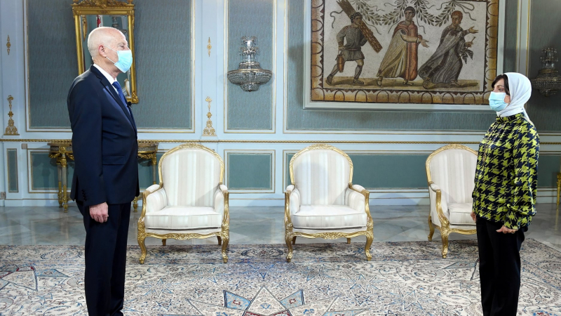 قيس سعيد في تصريح مثير للجدل : أسراب  الجراد تعبث بالدولة وبأملاك الشعب(فيديو)