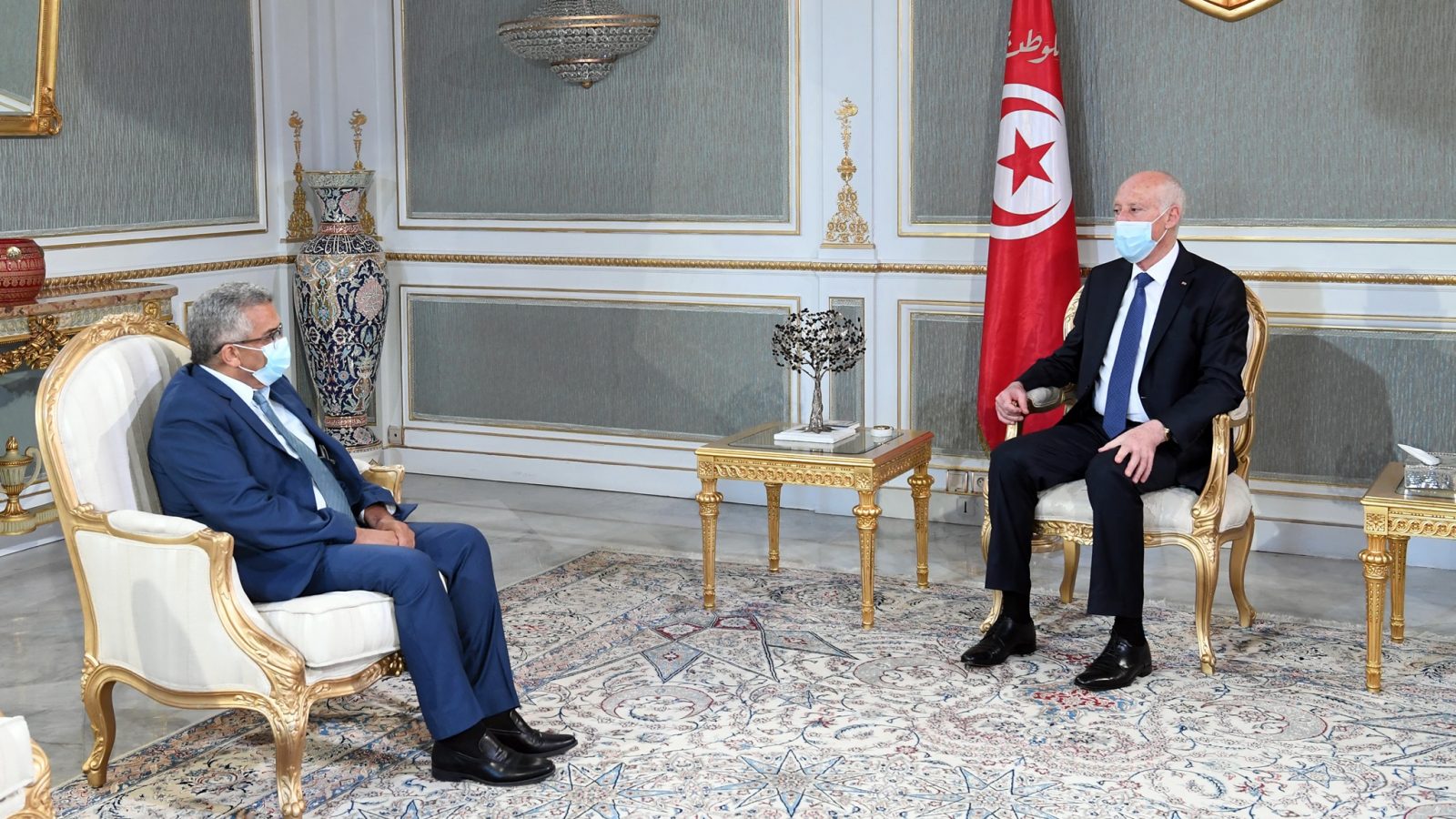 لهذا الأمر استقبل قيس سعيد وزير العدل الجديد