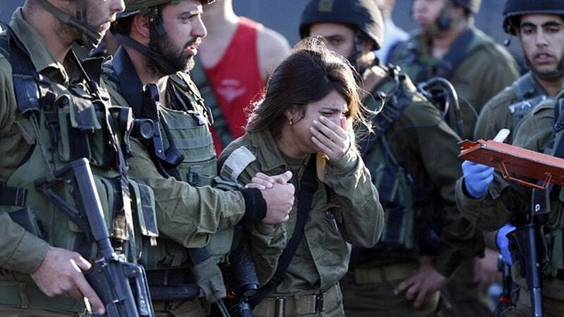 عض إحداهما من ساقها وأردافها: حمار ينتصر على مجندتين إسرائيليتين !