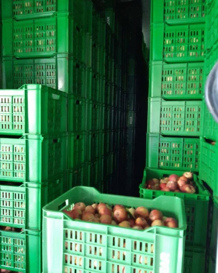 نابل: مداهمة مخزن تبريد عشوائي..