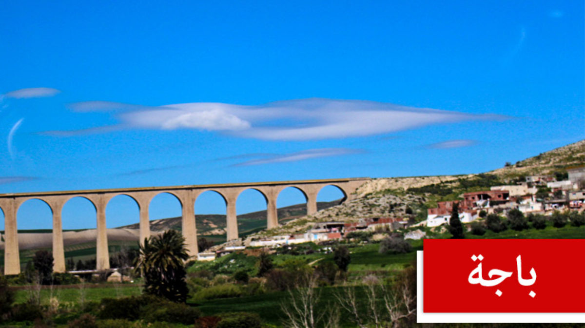 باجة /الكشف عن مخزن عشوائي لمصبرات طماطم متعفنة