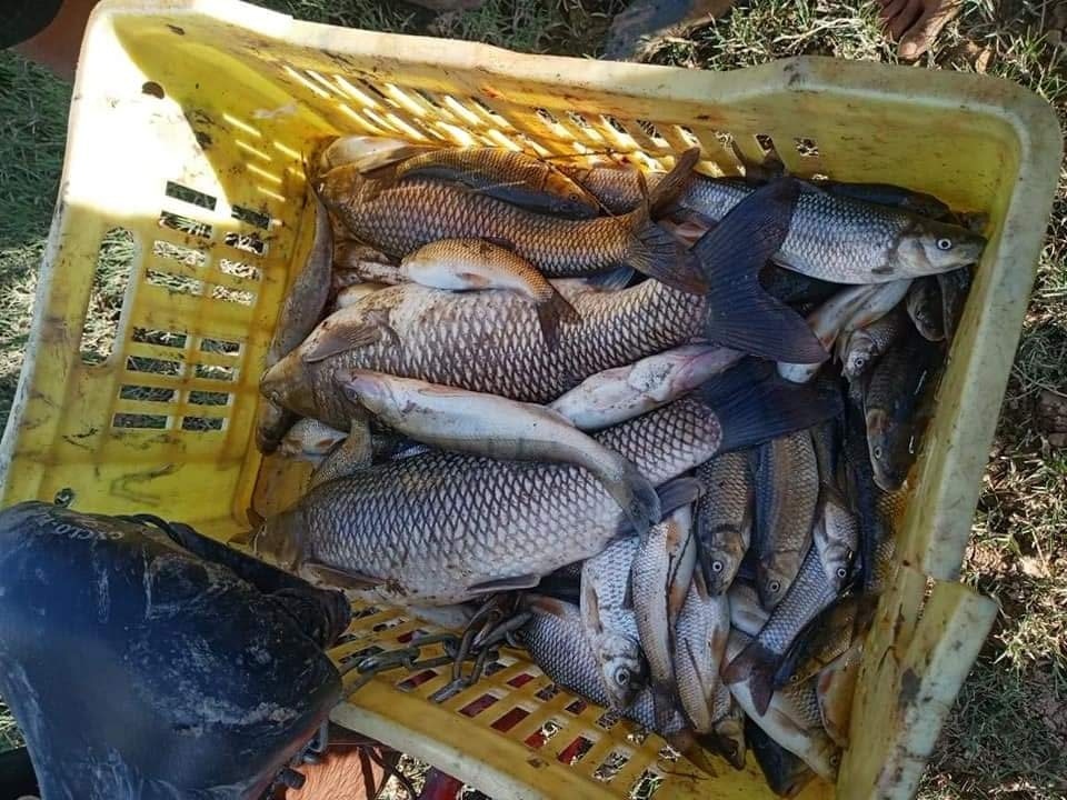 نفوق أسماك بوادي مجردة /وكالة حماية المحيط تفتح تحقيقا