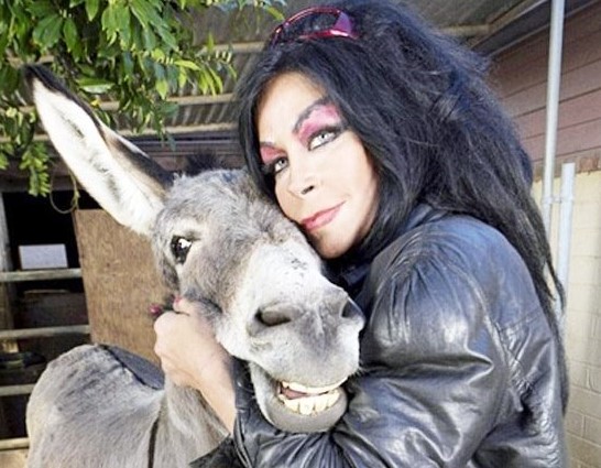 امرأة أمريكية تتزوج حماراً (صور) امرأة أمريكية تتزوج حماراً (صور)