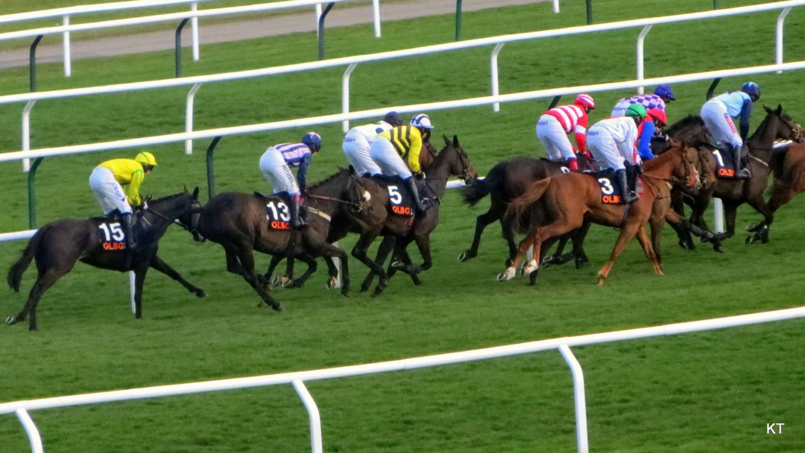 التمديد في إجراءات الحجر الصحي بميدان سباق الخيل بقصر السعيد