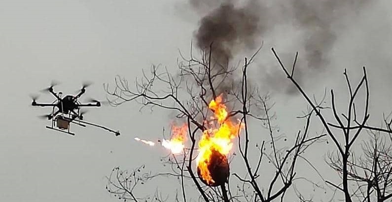 في الصين حتى الدبابير تحارب بطائرات قاذفة للهب!