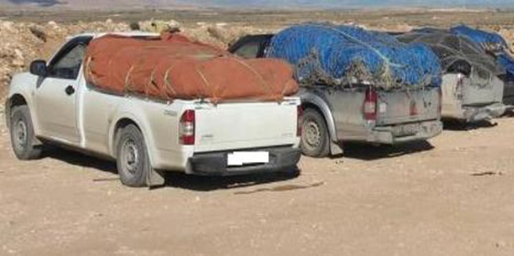 خلاف بين دورية للديوانية والحرس حول تحرير محضر في عملية تهريب